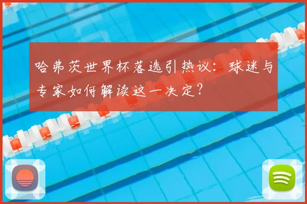哈弗茨世界杯落选引热议：球迷与专家如何解读这一决定？